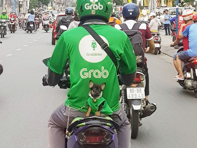 Anh chàng chạy xe công nghệ 'nhặt' Đen ven đường, cùng rong ruổi khắp Sài Gòn